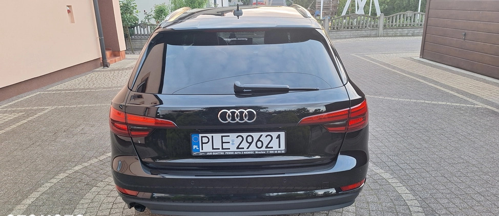 Audi A4 cena 77800 przebieg: 222000, rok produkcji 2016 z Rydzyna małe 67